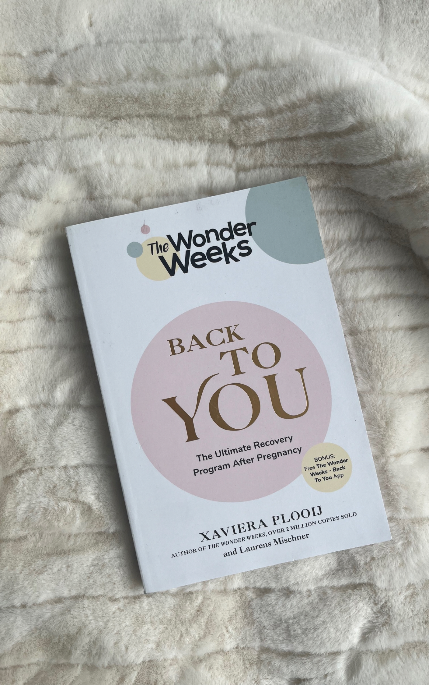 Back To You: The Ultimate Recovery Program After Pregnancy (The Wonder Weeks)