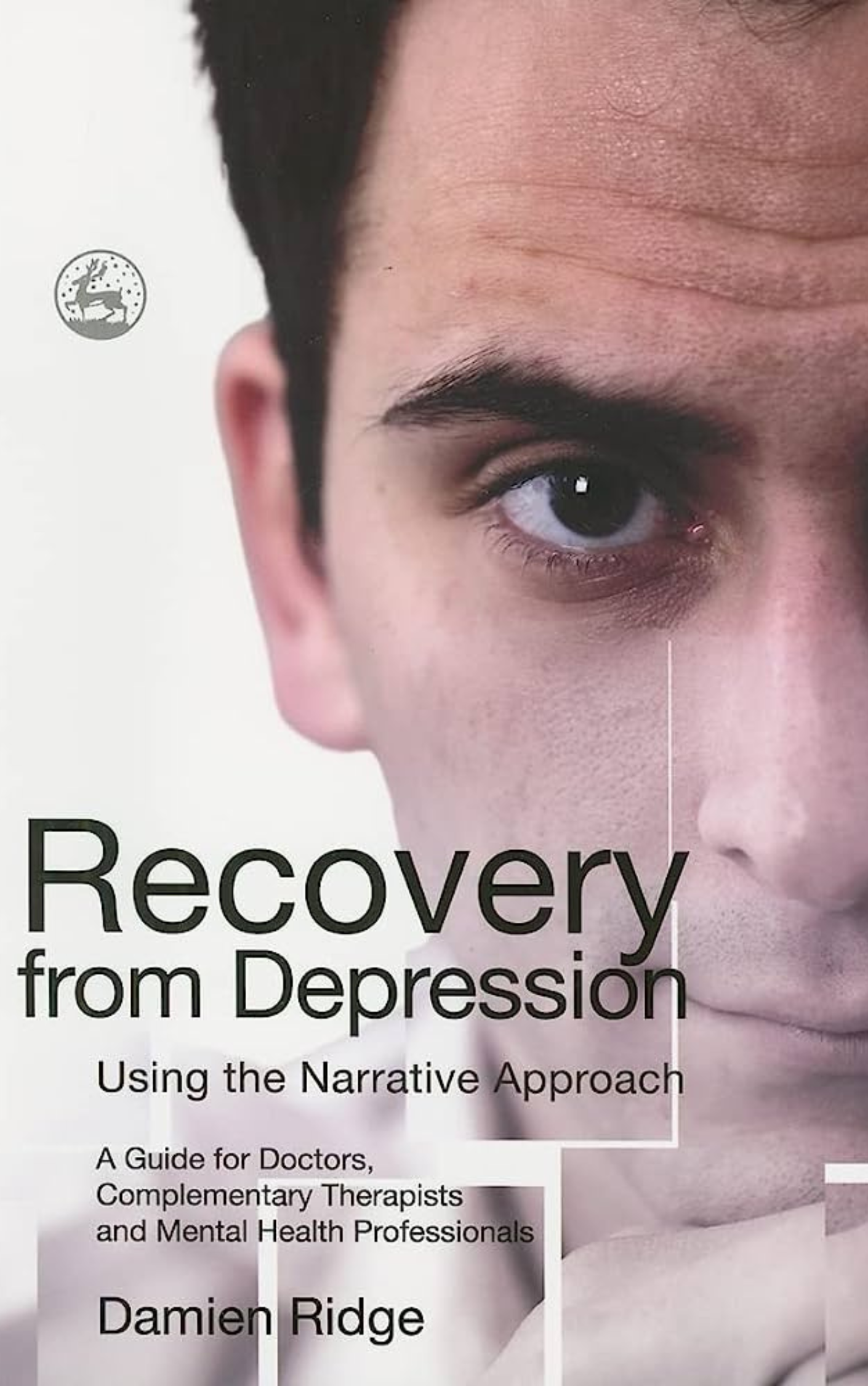 Recovery from Depression Using the Narrative Approach: A Guide for Doctors, Complementary Therapists and Mental Health Professionals