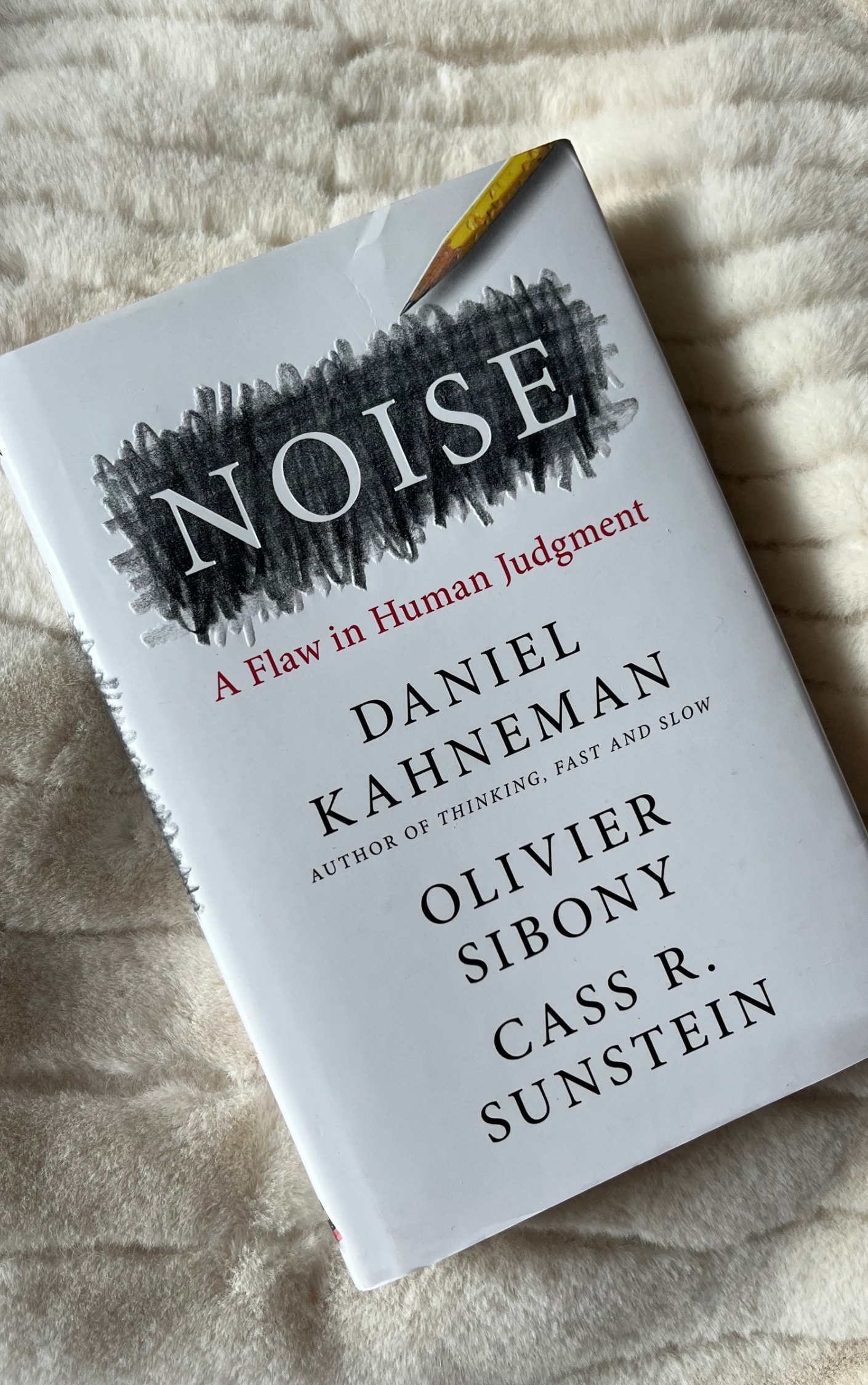 Noise: A Flaw in Human Judgment