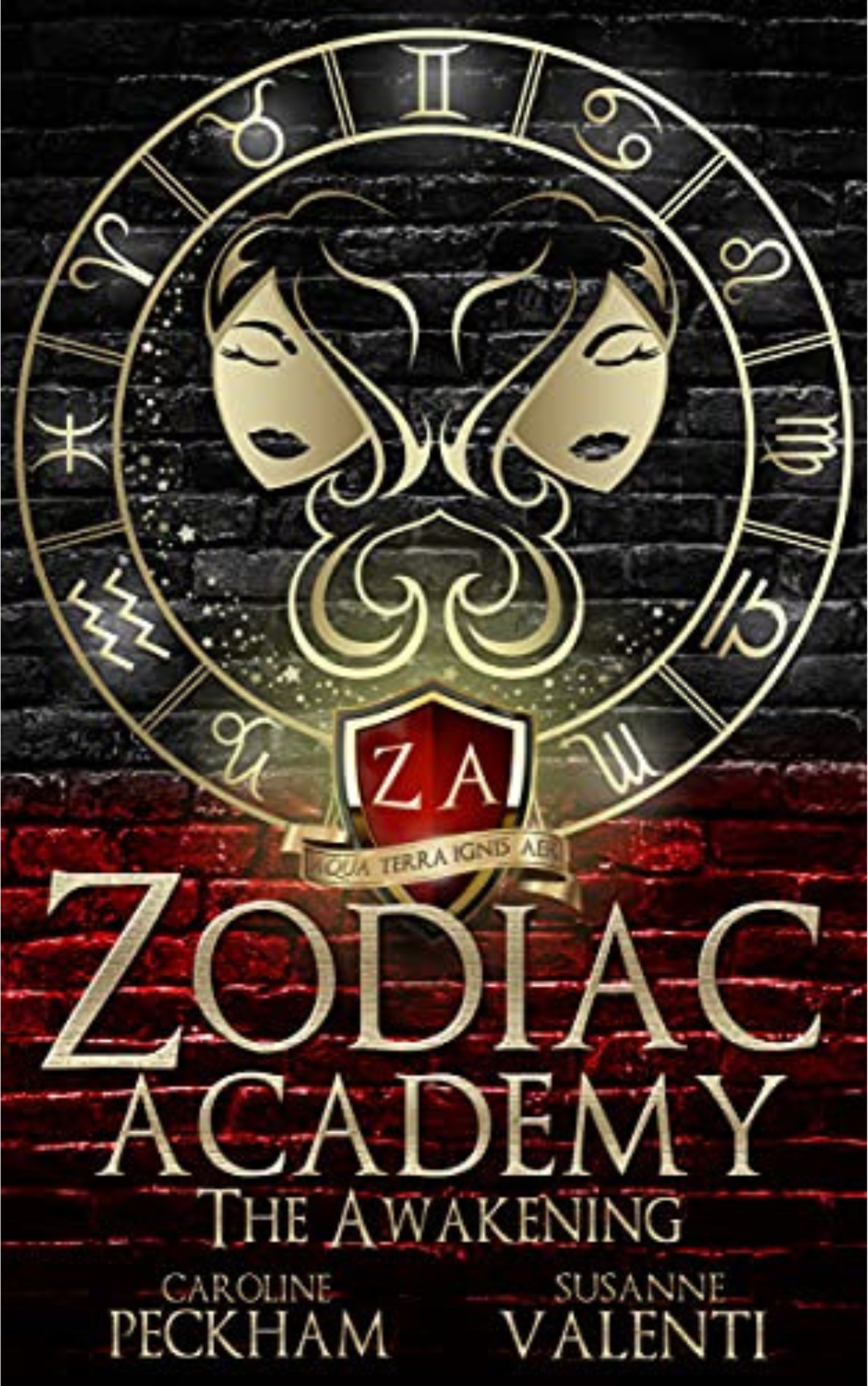 The Awakening (Zodiac Academy #1)