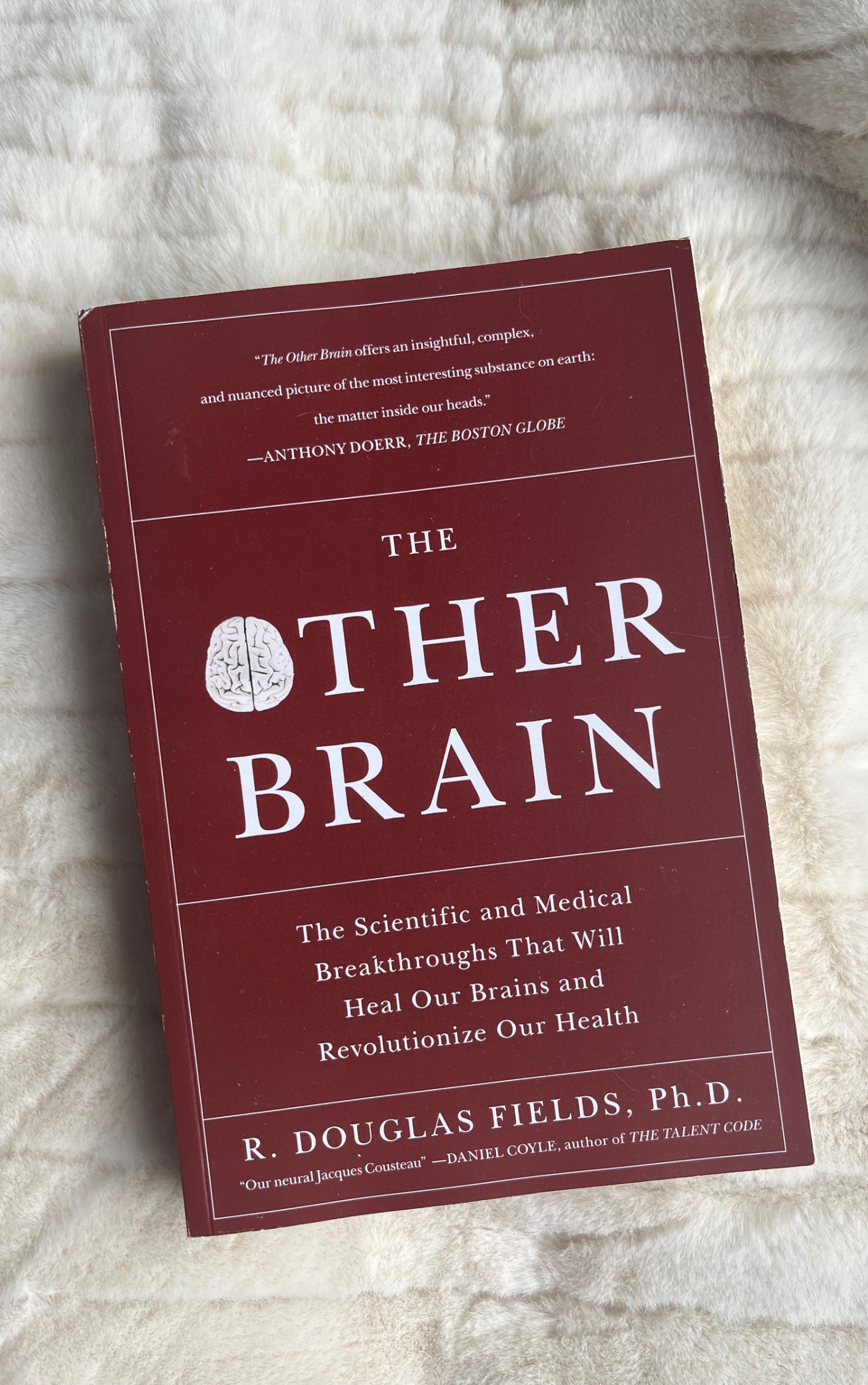 The Other Brain: The Scientific and Medical Breakthroughs That Will Heal Our Brains and Revolutionize Our Health